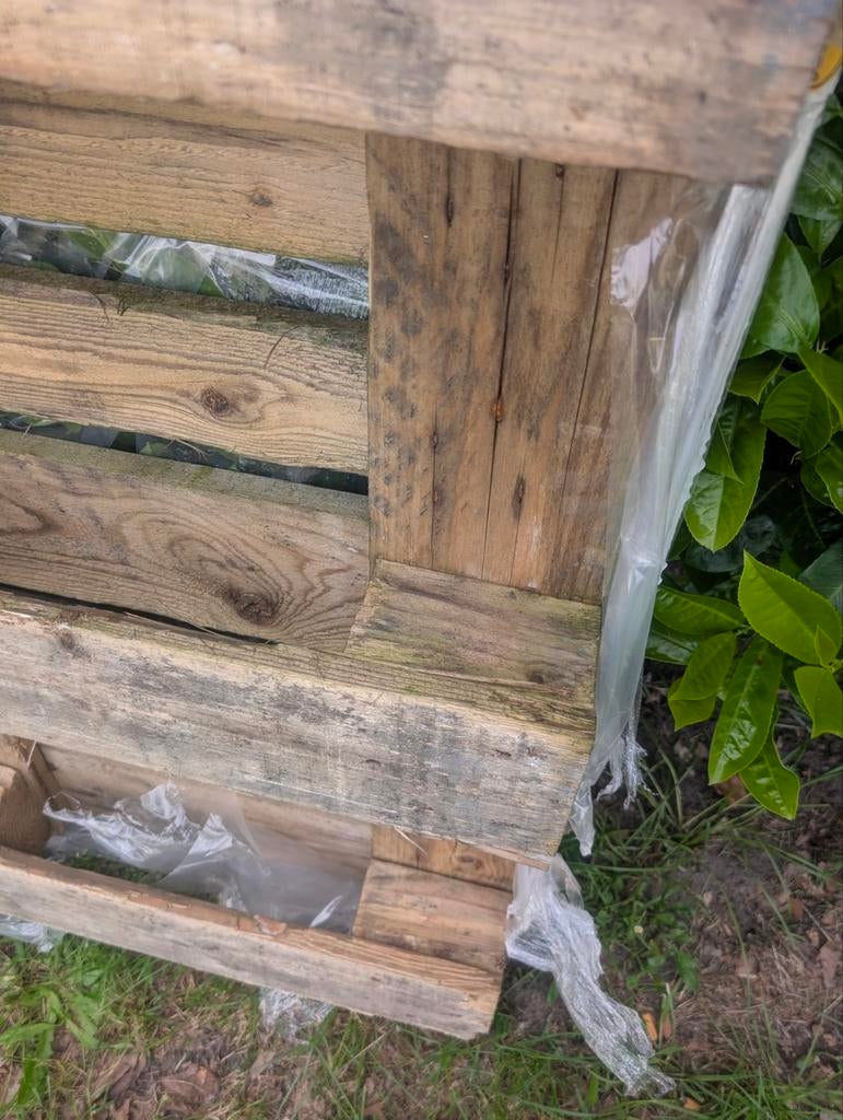 Gratis pallet, Gebruikt, 25 tot 50 mm, Ophalen of Verzenden, Pallet