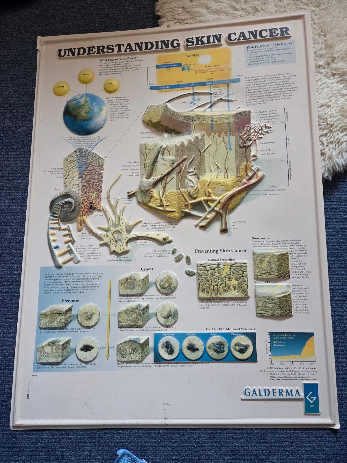 kunststof poster, Antiek en Kunst, Ophalen