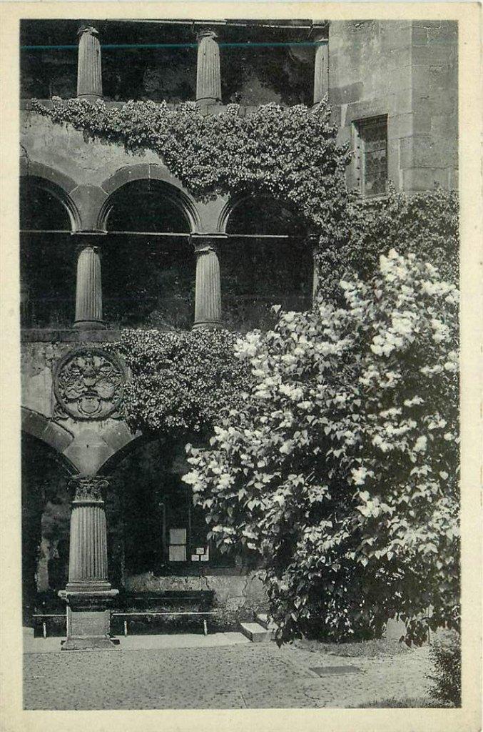 381-221-027 Fruhling in Heidelberg, Verzenden, Voor 1920, Duitsland
