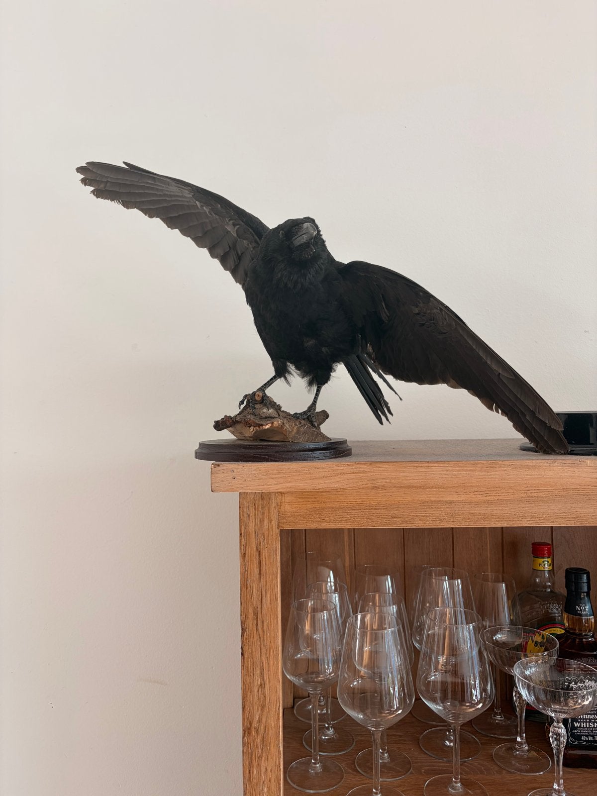 Opgezette Kraai Kunstwerk - Bijzonder Model, Verzamelen, Dierenverzamelingen, Ophalen