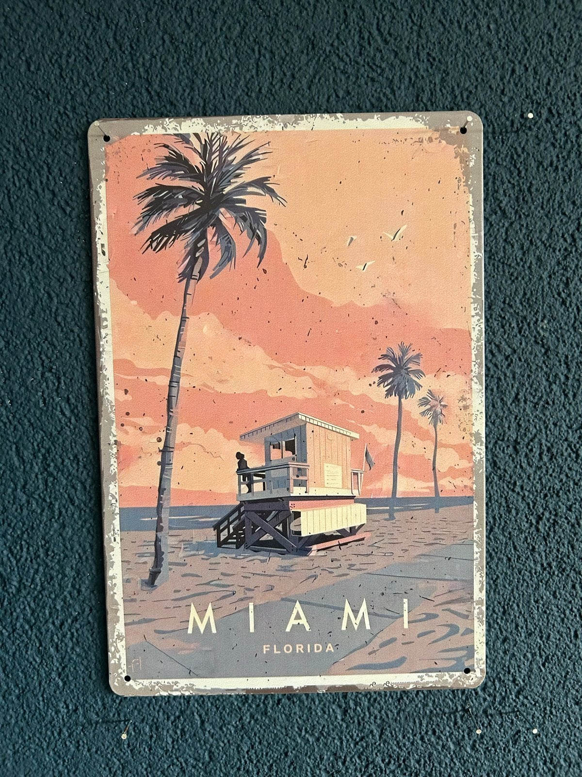 Metalen wandbord Miami Florida 20x30 cm, Huis en Inrichting, Metaal, Ophalen of Verzenden, Zo goed als nieuw, Wandbord of Wandpaneel
