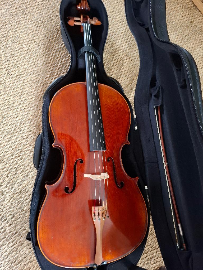 cello, Muziek en Instrumenten, Strijkinstrumenten | Cello's, Ophalen, Gebruikt, Met koffer