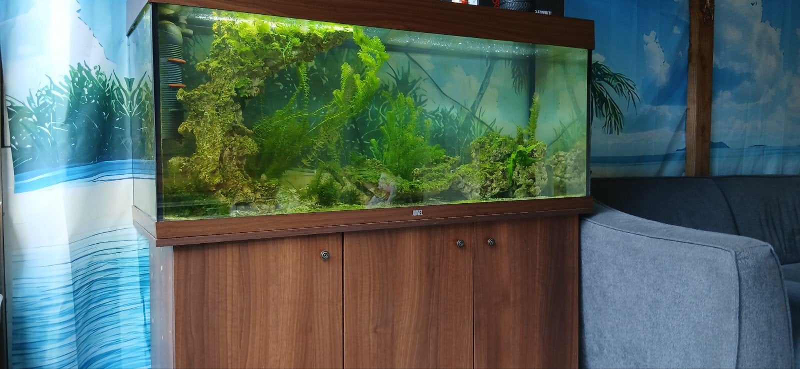 juwel rio 240, Dieren en Toebehoren, Ophalen, Leeg aquarium