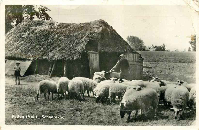 380-872-043 Putten Schaapskooi, Verzenden, Voor 1920, Gelderland