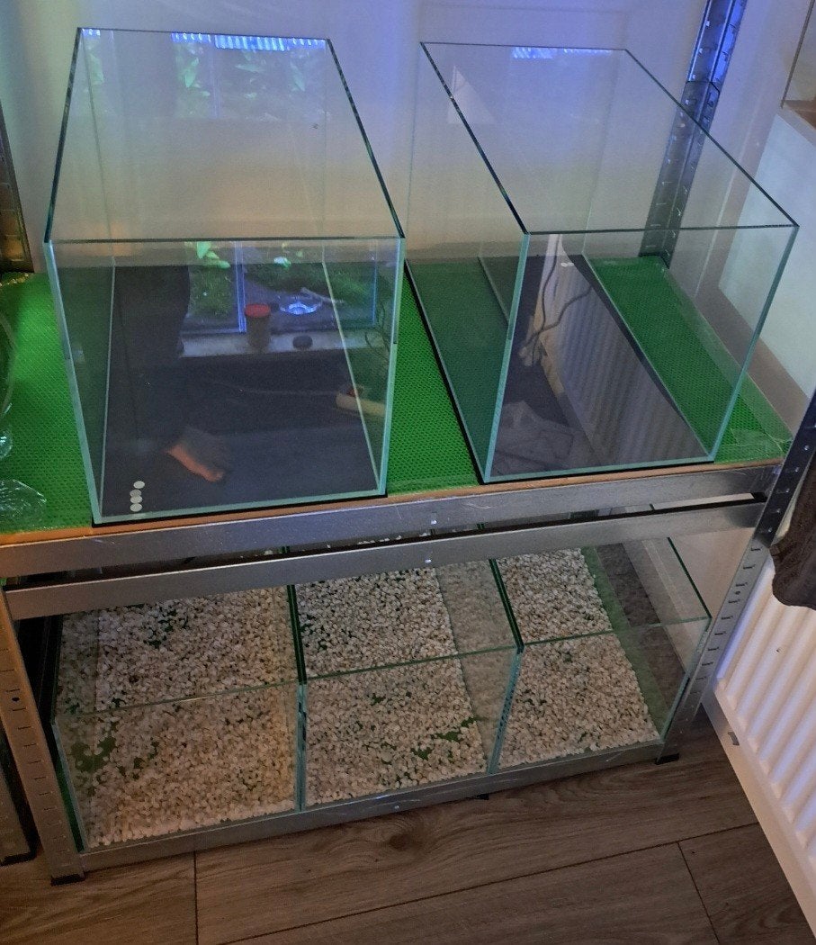 Partij kweekbakken aquariums €15, Ophalen of Verzenden