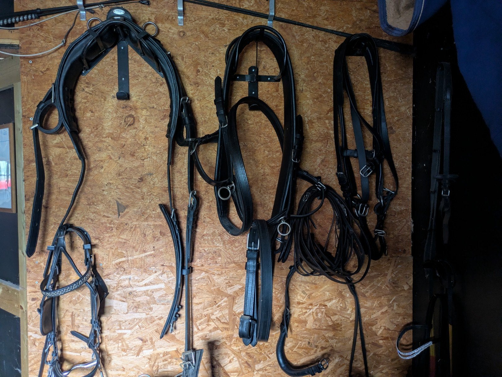 Ideal Equistrian tuig maat Cob, Overige disciplines, Zwart, Cob, Borsttuig