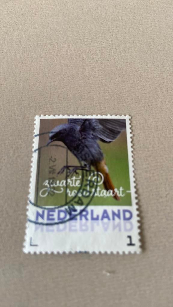 Nederland, Ophalen of Verzenden, Gestempeld
