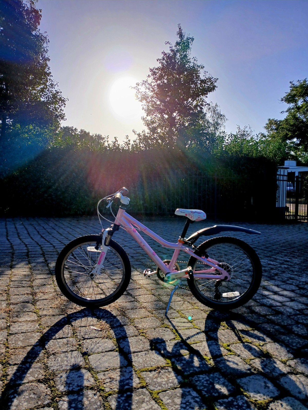 roze mountainbike, Ophalen, Gebruikt, Velgrem, Aluminium