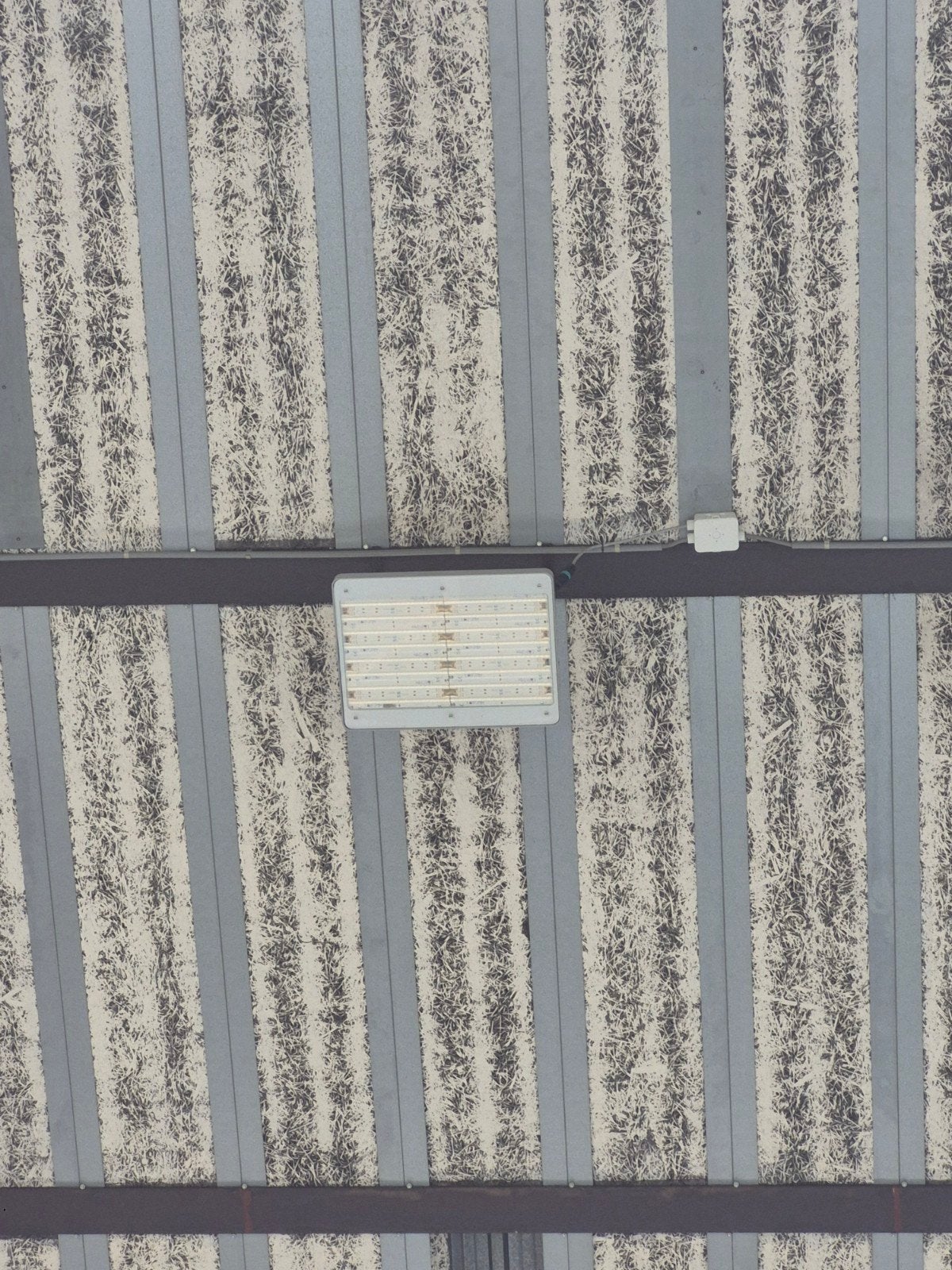 LED Breedstraler / Schijnwerper – industriële floodlight, Ophalen of Verzenden