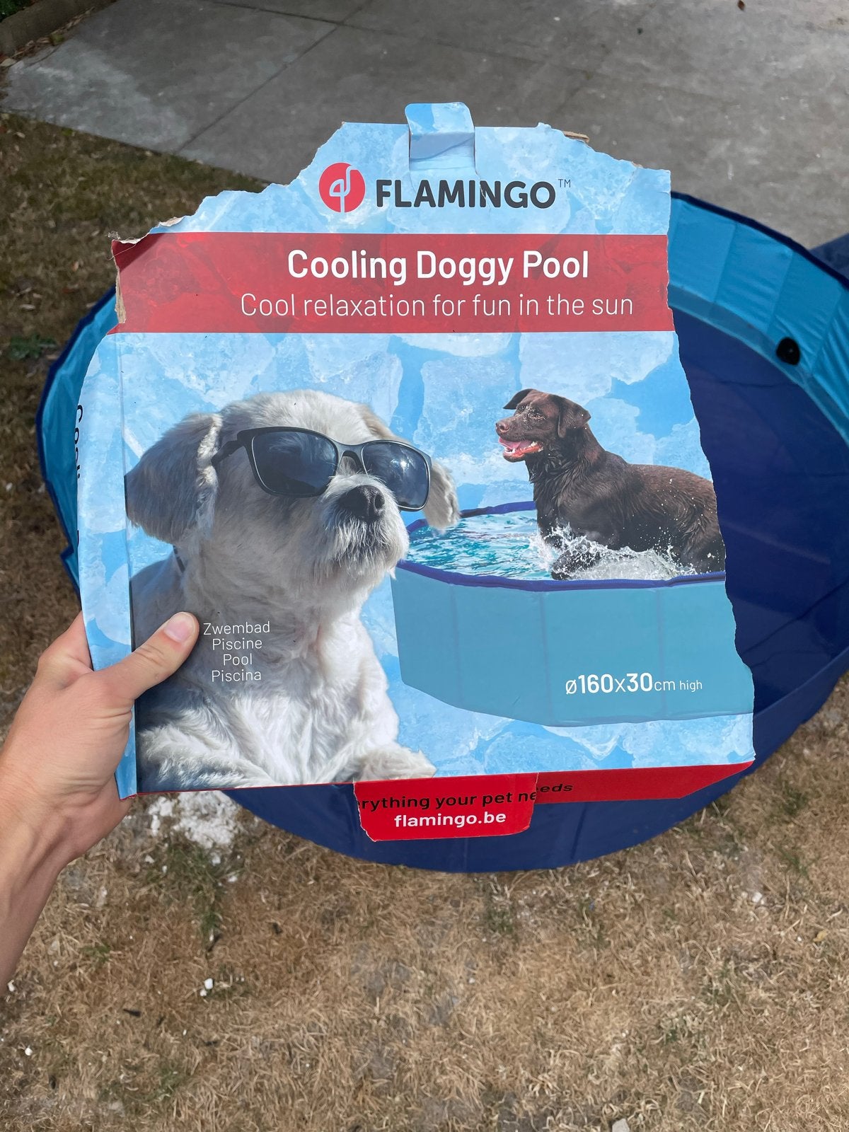Flamingo Cooling Doggy Pool - Ø160x30cm, Ophalen, Gebruikt, Minder dan 80 cm, Rond