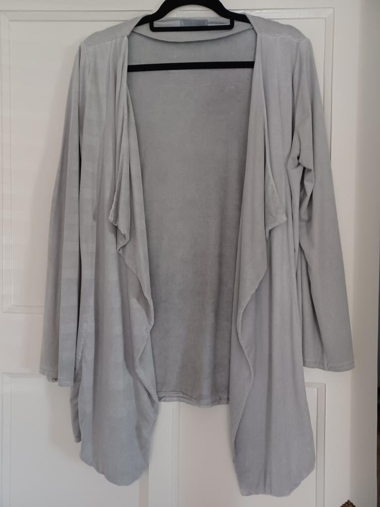 Stijlvol suède look vest - One size - Zo goed als nieuw, Maat 38/40 (M), Ophalen of Verzenden, Grijs, Onbekend