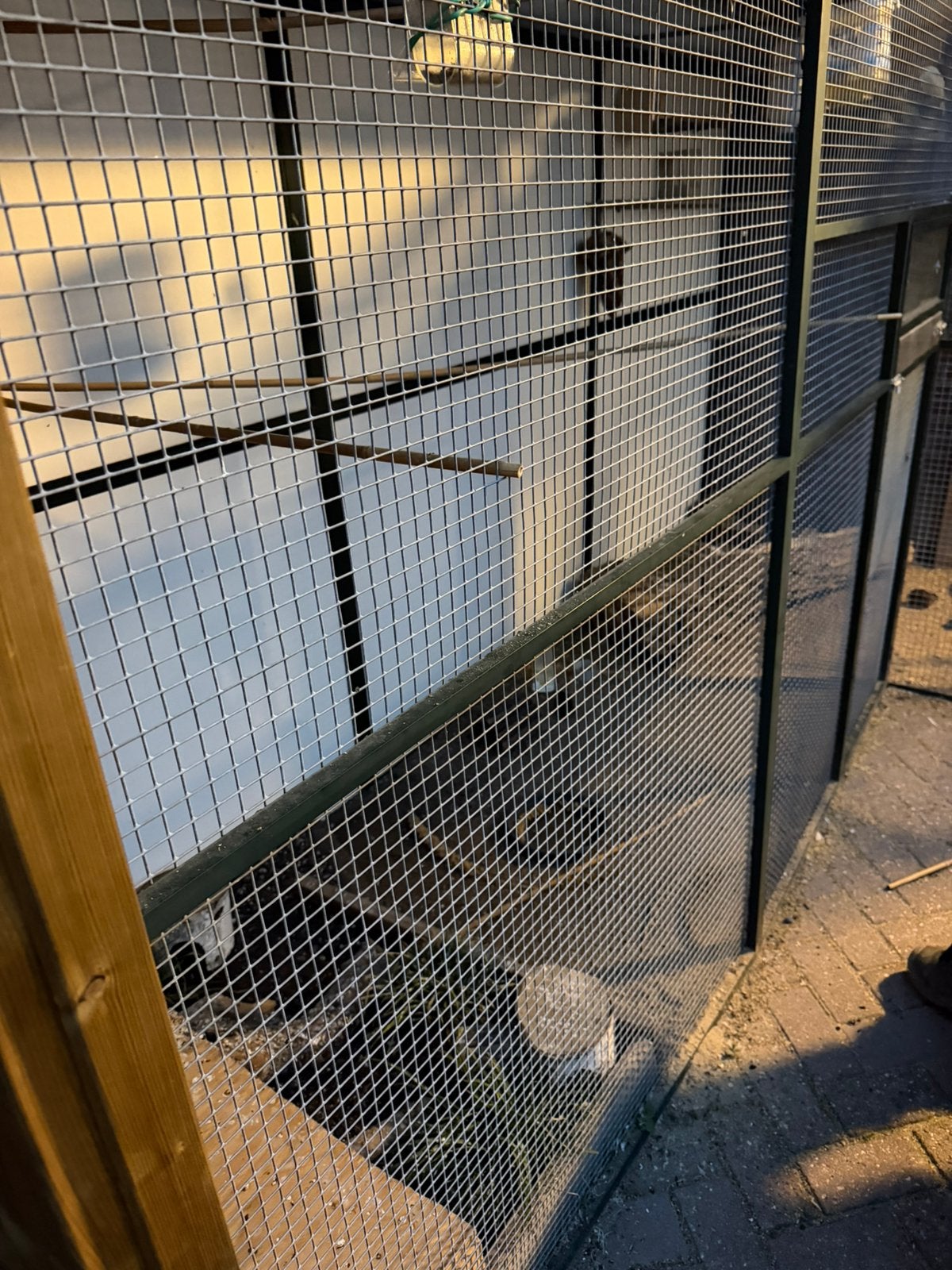 Voliere met houten hok, Dieren en Toebehoren, Ophalen, Zo goed als nieuw, Hout, Volière