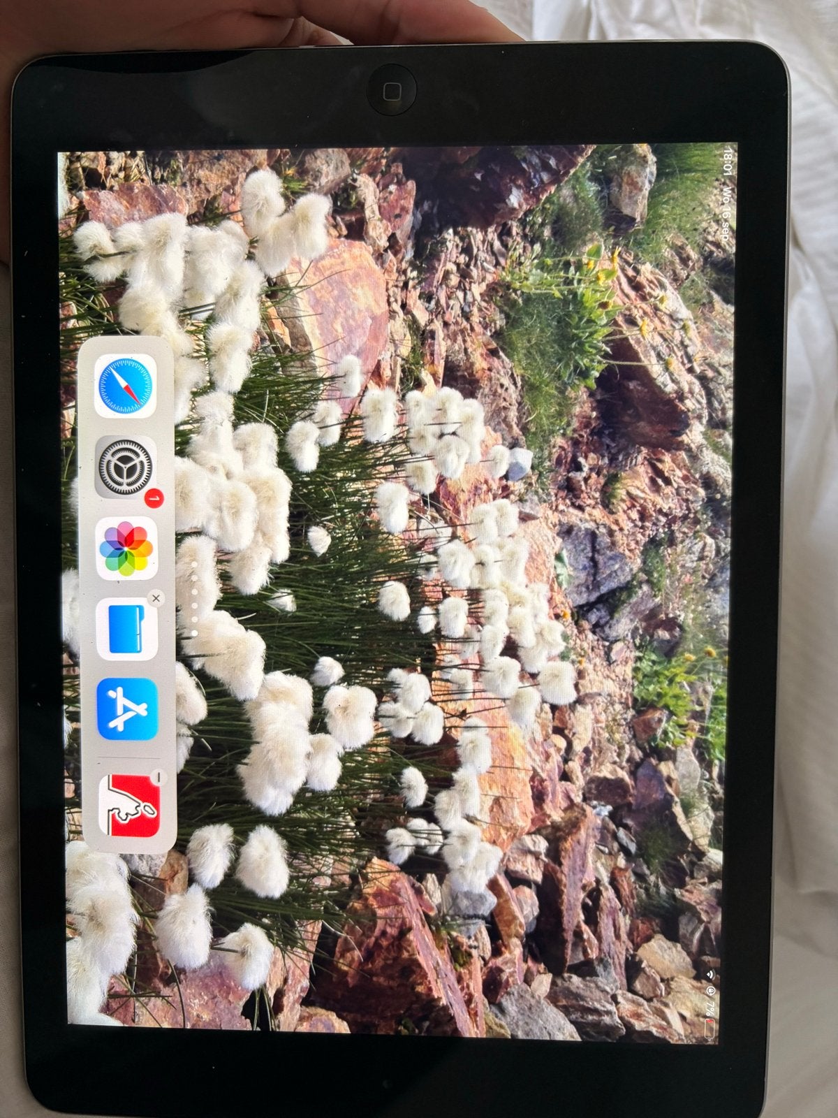 Apple iPad Air 1 (2013) - A1474 - 16GB - Werkt nog, 10 inch, Gebruikt, Apple iPad Air, Ophalen of Verzenden