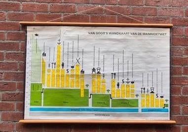 Schoolplaat Mammoetwet, Ophalen of Verzenden, Geschiedenis