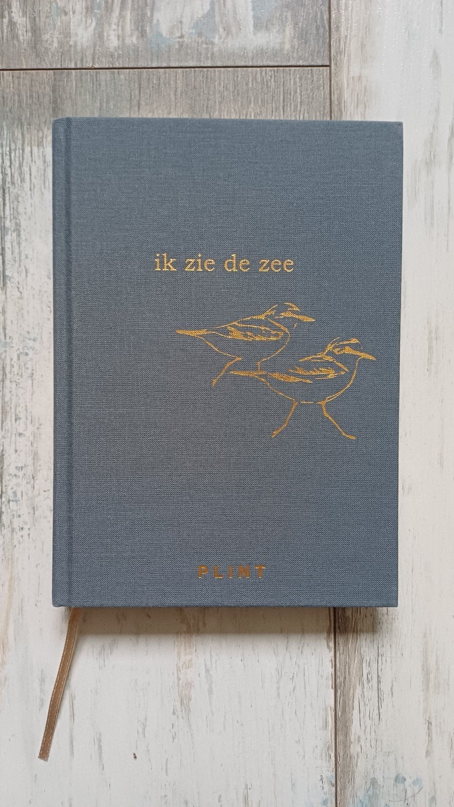 Ik zie de zee - Plint Gedichtenboek, Ophalen of Verzenden, Zo goed als nieuw, Diverse dichters