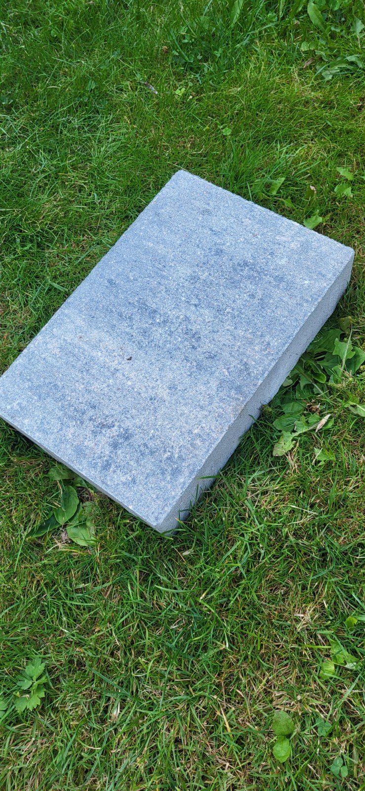 Nieuwe Tuinsteen 30x20x6 cm - 37 stuks, Tuin en Terras, Nieuw, Ophalen of Verzenden, Minder dan 5 m², Beton