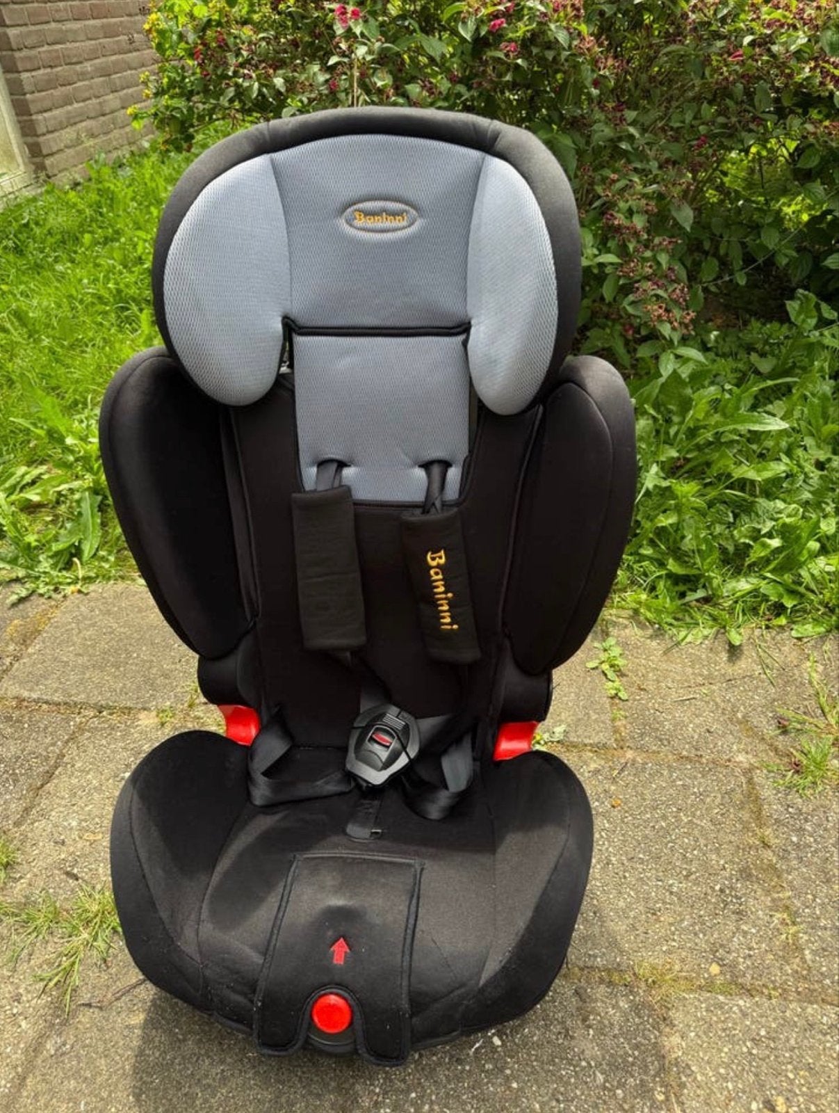 Baninni Autostoel 9-36 kg - Zwart/Grijs, Overige merken, 9 t/m 36 kg, Gebruikt, Autogordel