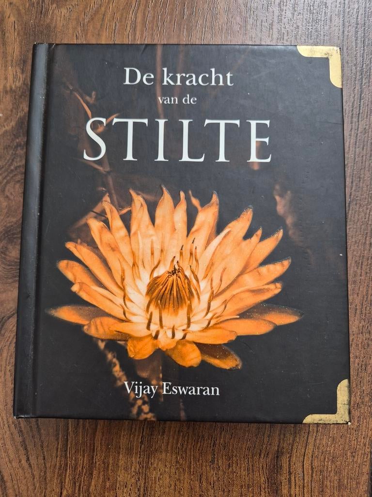 De kracht van de stilte - Vijay Eswaran, Ophalen of Verzenden, Zo goed als nieuw