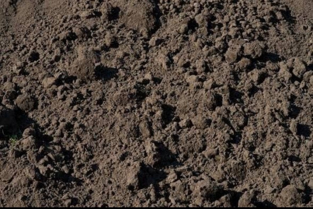 Gratis af te halen: ca. 7 m³ zwart zand in Nijnsel, Tuin en Terras, Zand, Ophalen, Overige typen
