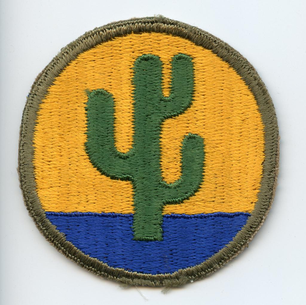 WO2 US 103rd Infantry Division Patch, Verzamelen, Militaria | Tweede Wereldoorlog, Ophalen of Verzenden, Landmacht, Amerika, Embleem of Badge