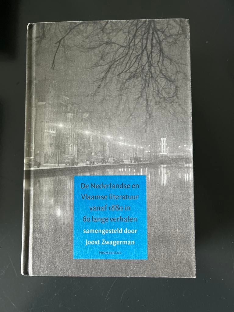 Nederlandse en Vlaamse literatuur vanaf 1880, Ophalen of Verzenden, Zo goed als nieuw