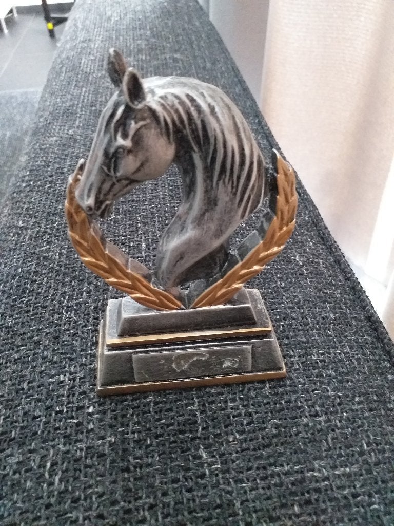 Nieuwe dressuur/spring prijs, Ophalen of Verzenden, Nieuw, Dressuur