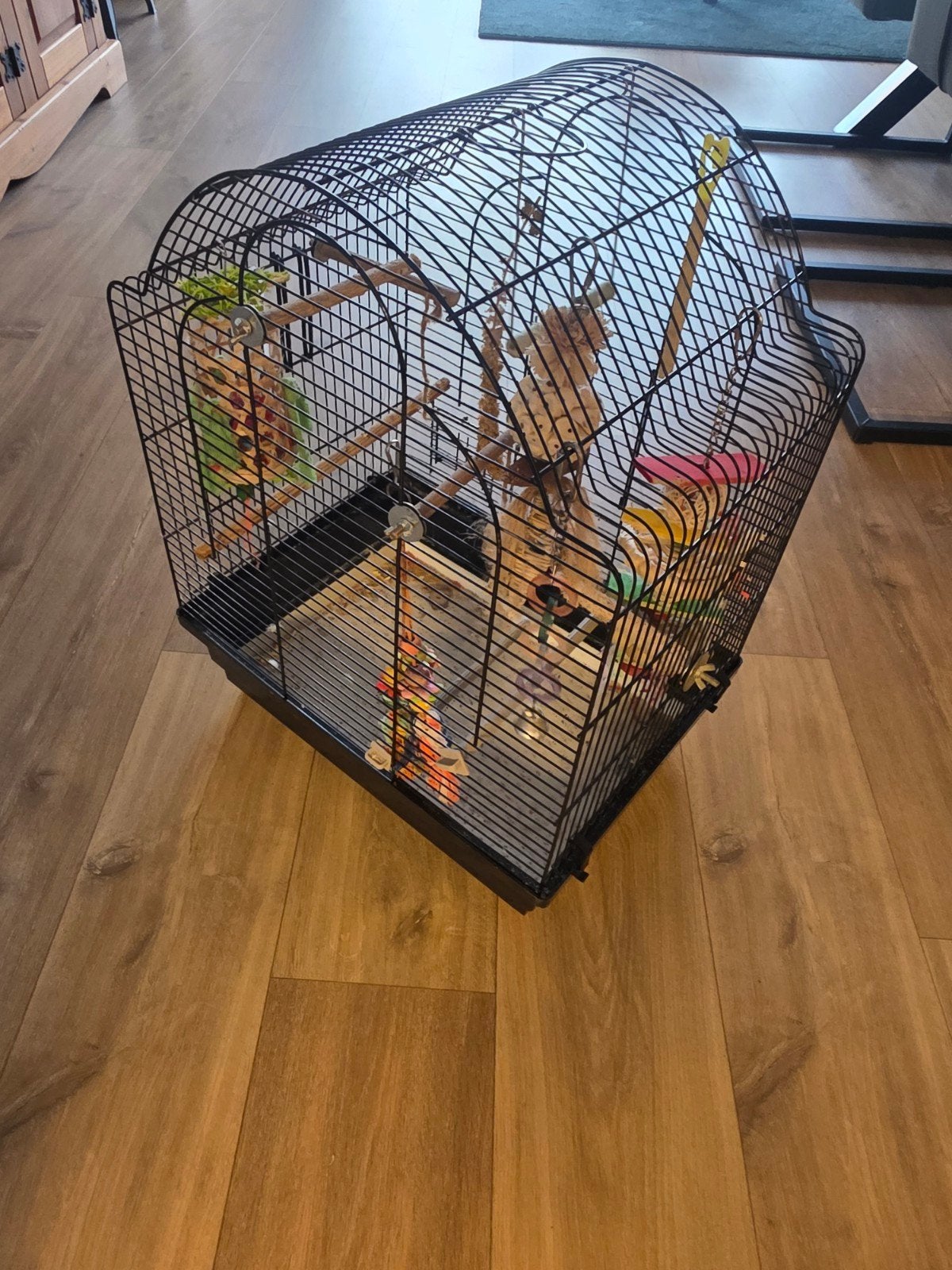 vogelkooi met  extra groot vogelbadje, Dieren en Toebehoren, Hondenhokken, Ophalen, Gebruikt, 75 tot 110 cm, Minder dan 65 cm