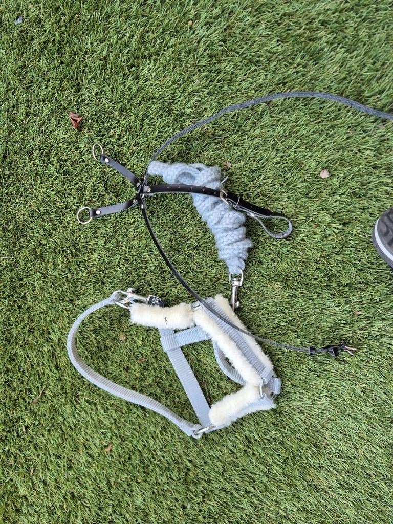 Hobby horse halster met martengaal, Ophalen of Verzenden, Zo goed als nieuw, Jongen of Meisje