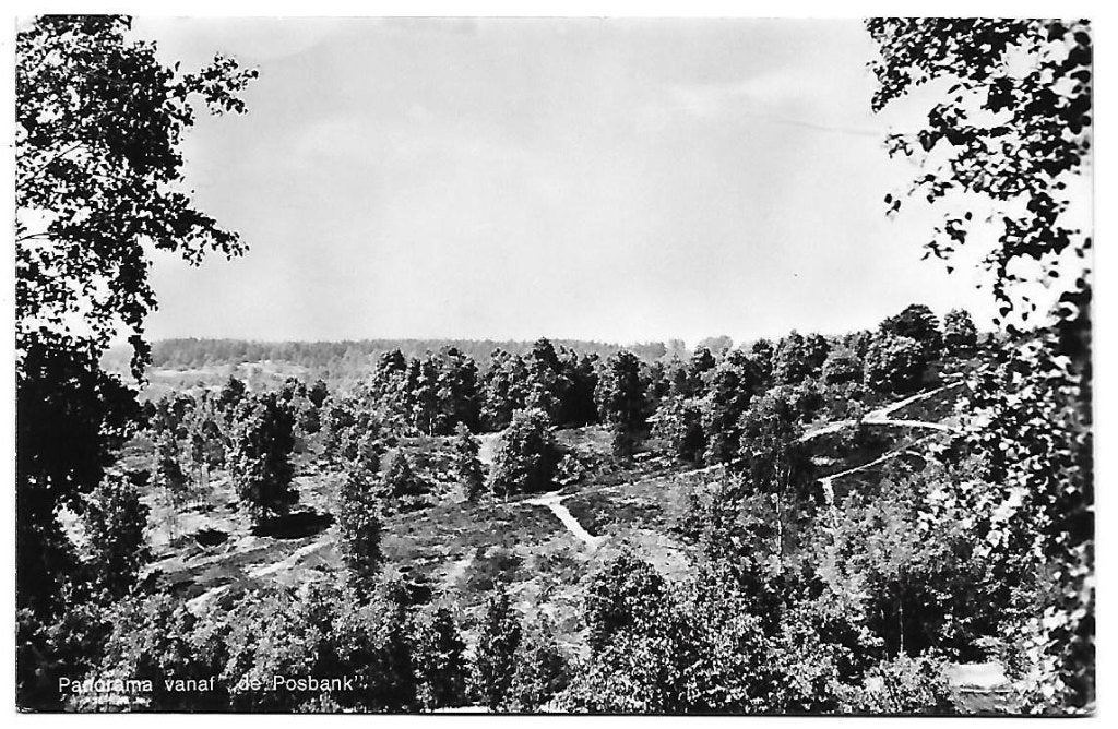 Panorama vanaf de Posbank Oude ongelopen ansichtkaart B1044, Ophalen of Verzenden, 1920 tot 1940, Gelopen