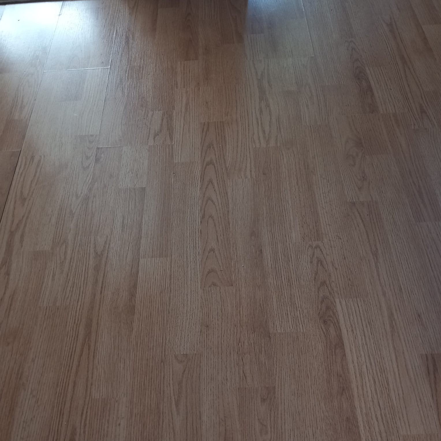 [In Doos] Kwantum Timber Eiken laminaat - ca. 12 m², Ophalen, 50 tot 150 cm, Nieuw, 10 m² of meer