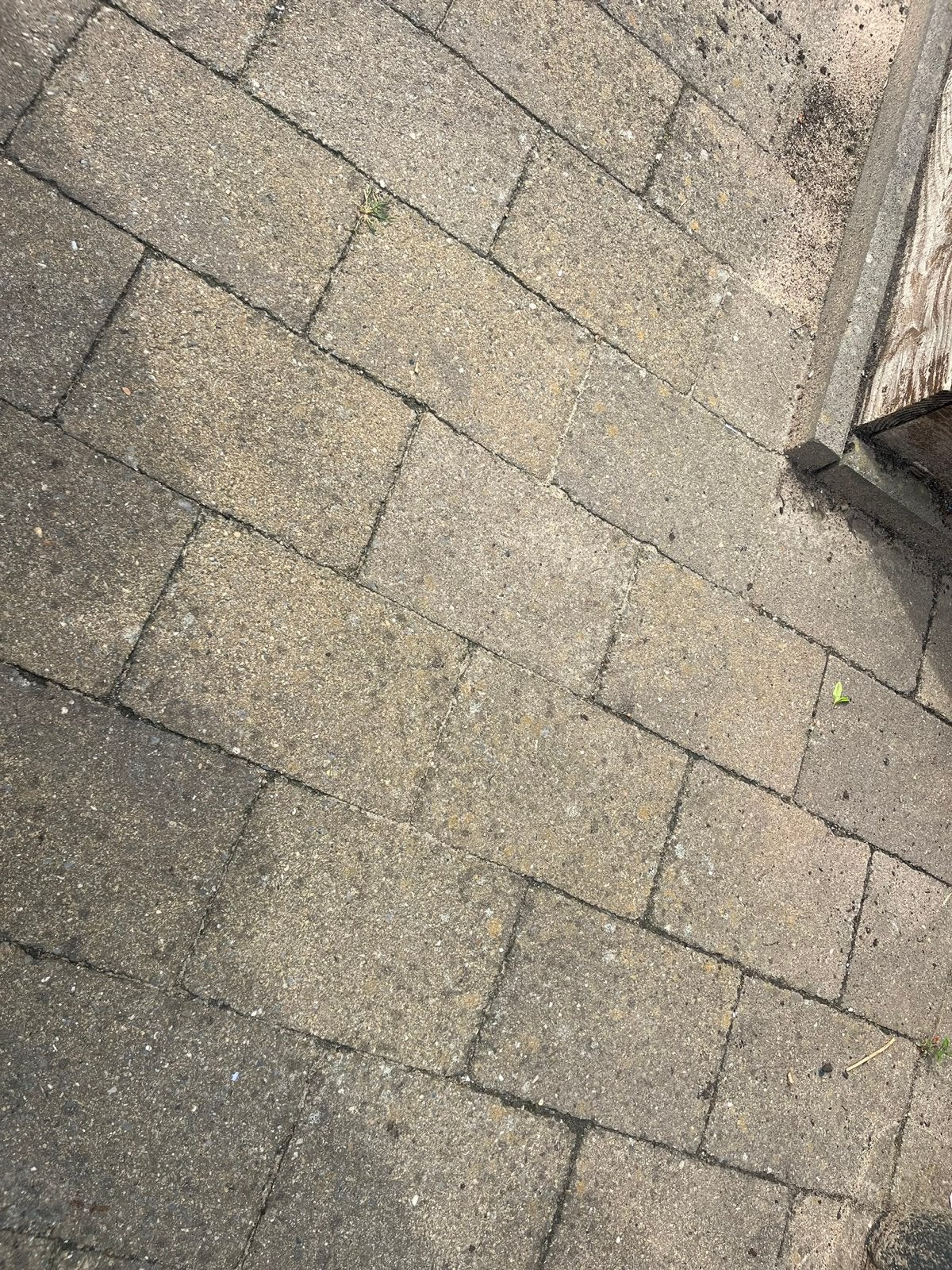 Omkeerbare Tuintegels - 77m², Tuin en Terras, Tegels en Klinkers, Ophalen, Gebruikt, 10 m² of meer, Beton