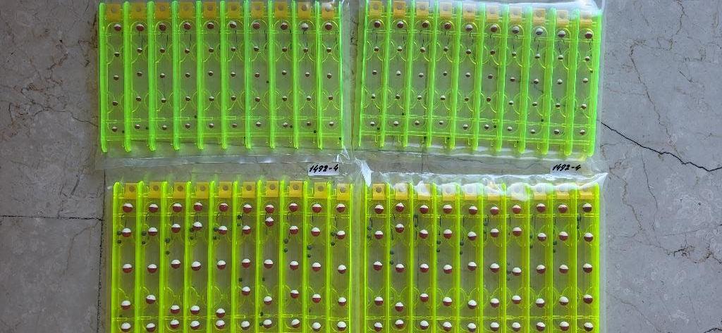 Baars Paling tuigen 40x stuks, Verzenden, Nieuw, Dobber of Lood