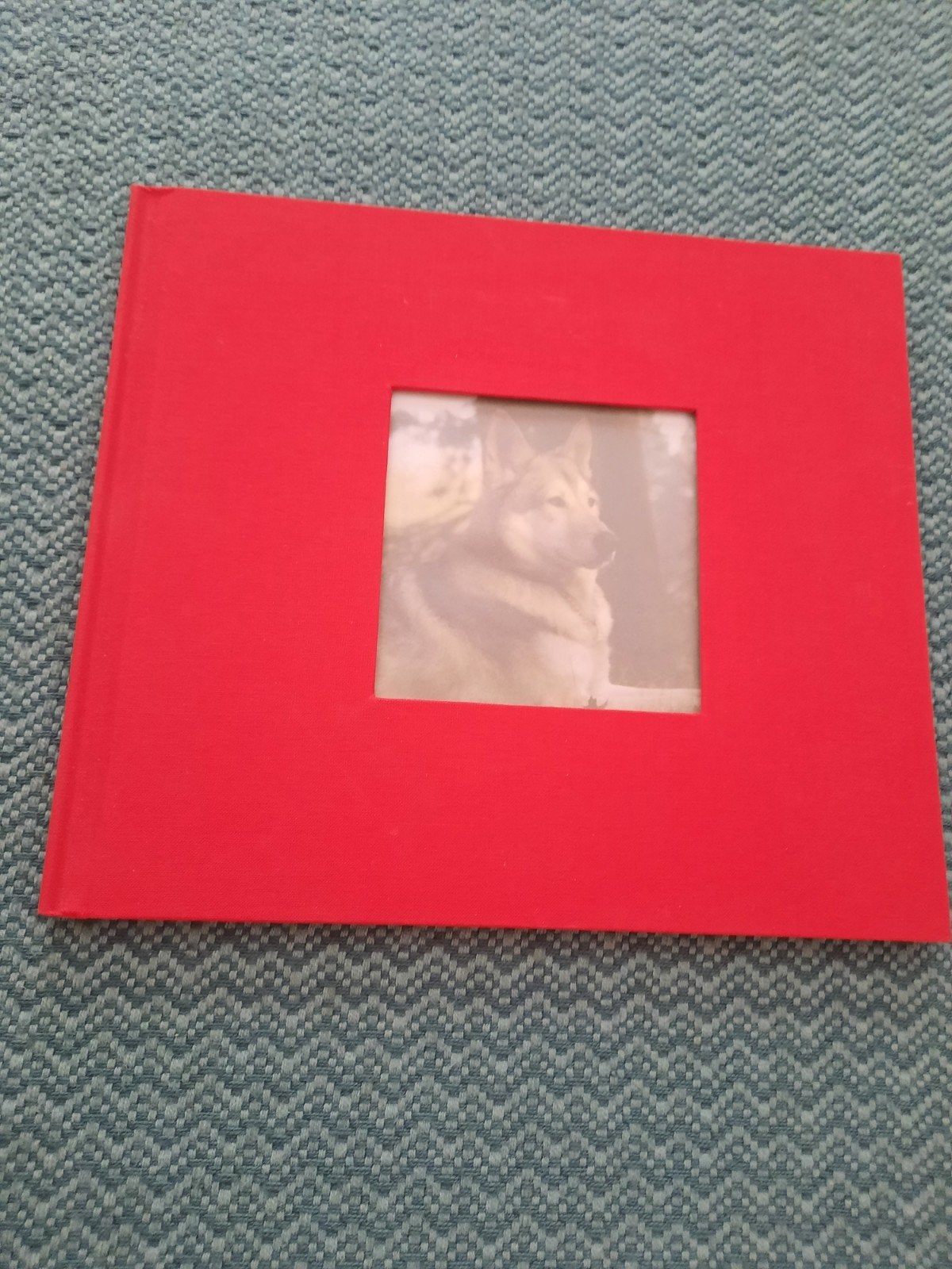 Hondenboek met foto's van wolfhonden, Ophalen of Verzenden