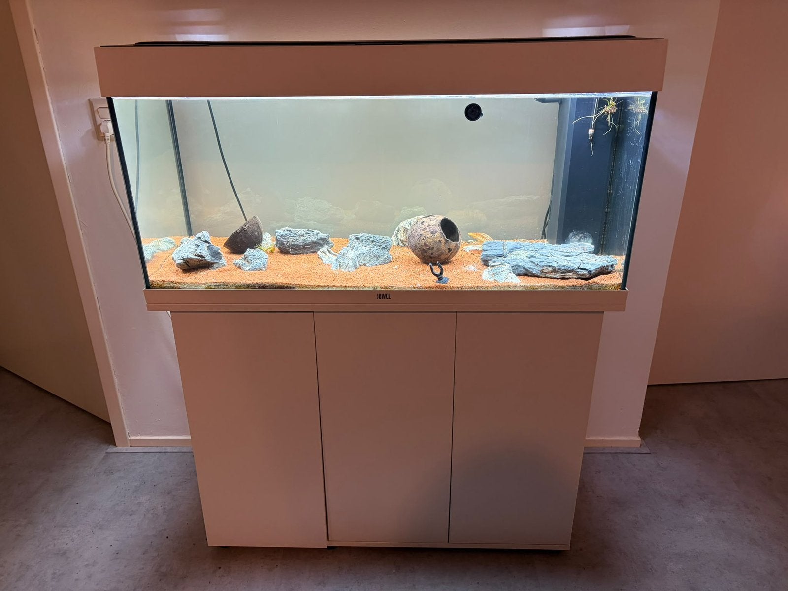 JUWEL Rio180 aquarium wit: meubel, pomp, filter & verwarming, Ophalen, Zo goed als nieuw, Leeg aquarium, Juwel