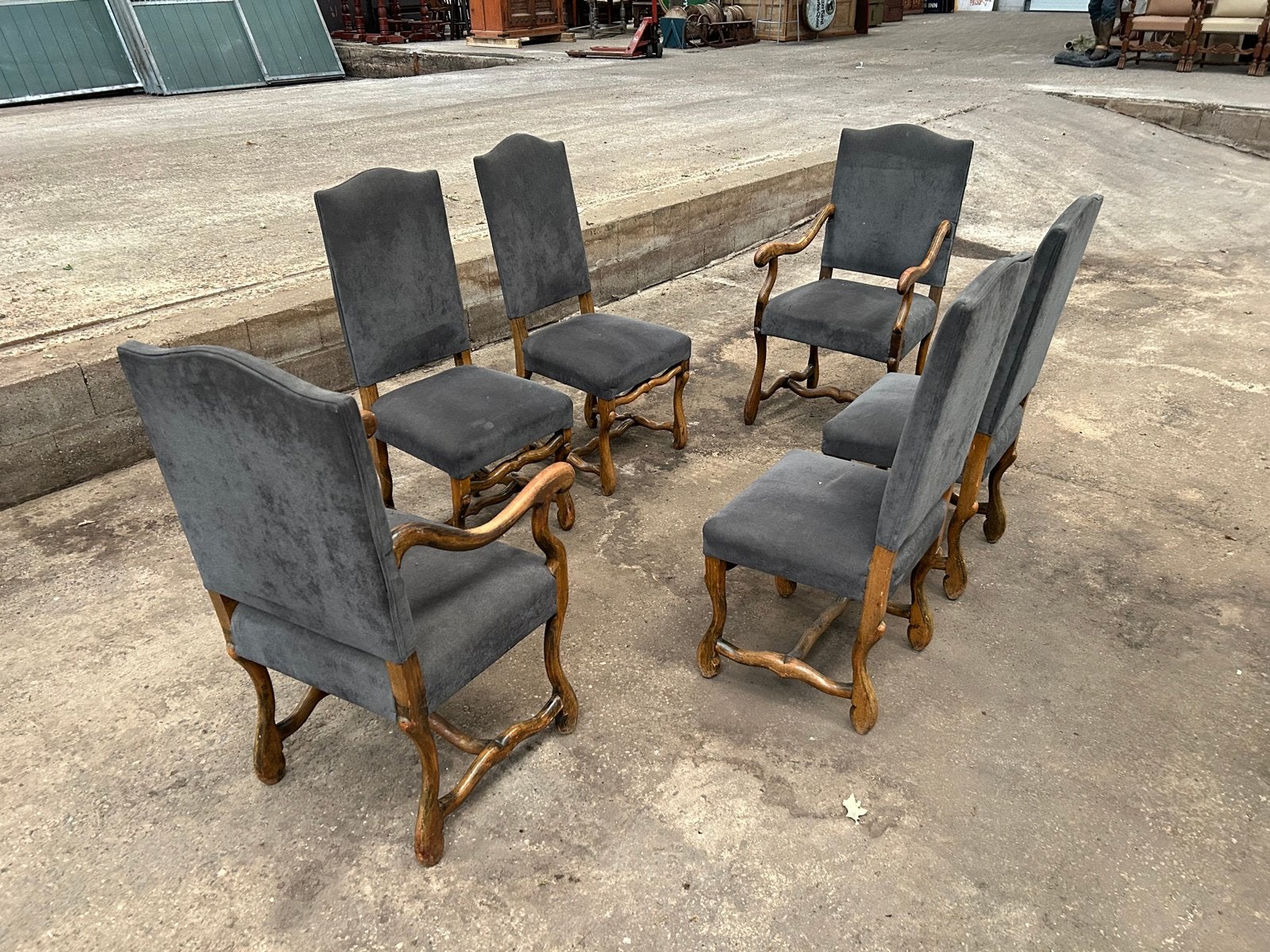 Partij os du Mouton stoelen - 60 stuks, opnieuw bekleed, Ophalen