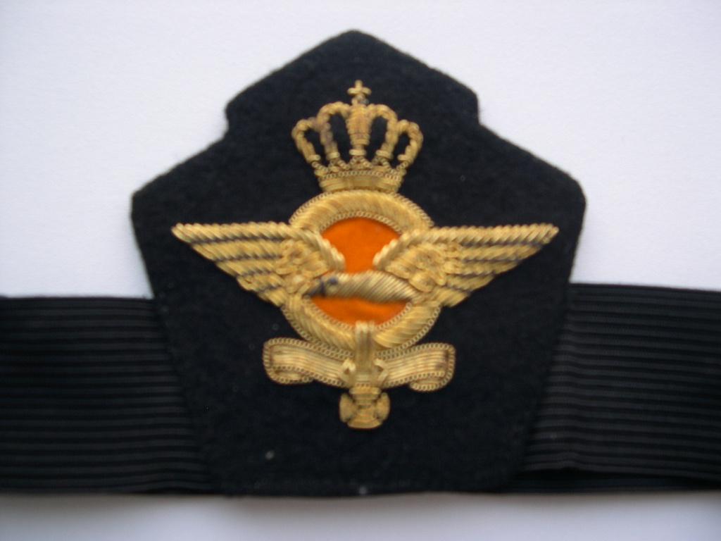 Petembleem (oud model) Koninklijke Luchtmacht (met petband), Verzenden, Luchtmacht, Nederland, Overige typen