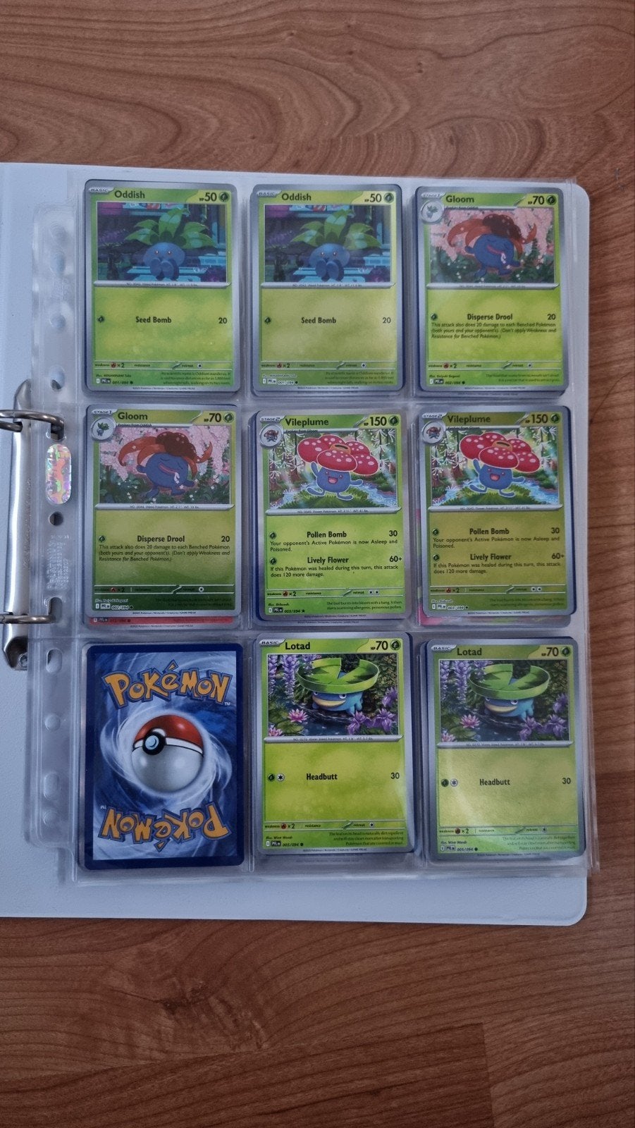Bijna complete base set Phantasmal Flames - Pokemon kaarten, Ophalen of Verzenden, Zo goed als nieuw, Meerdere kaarten