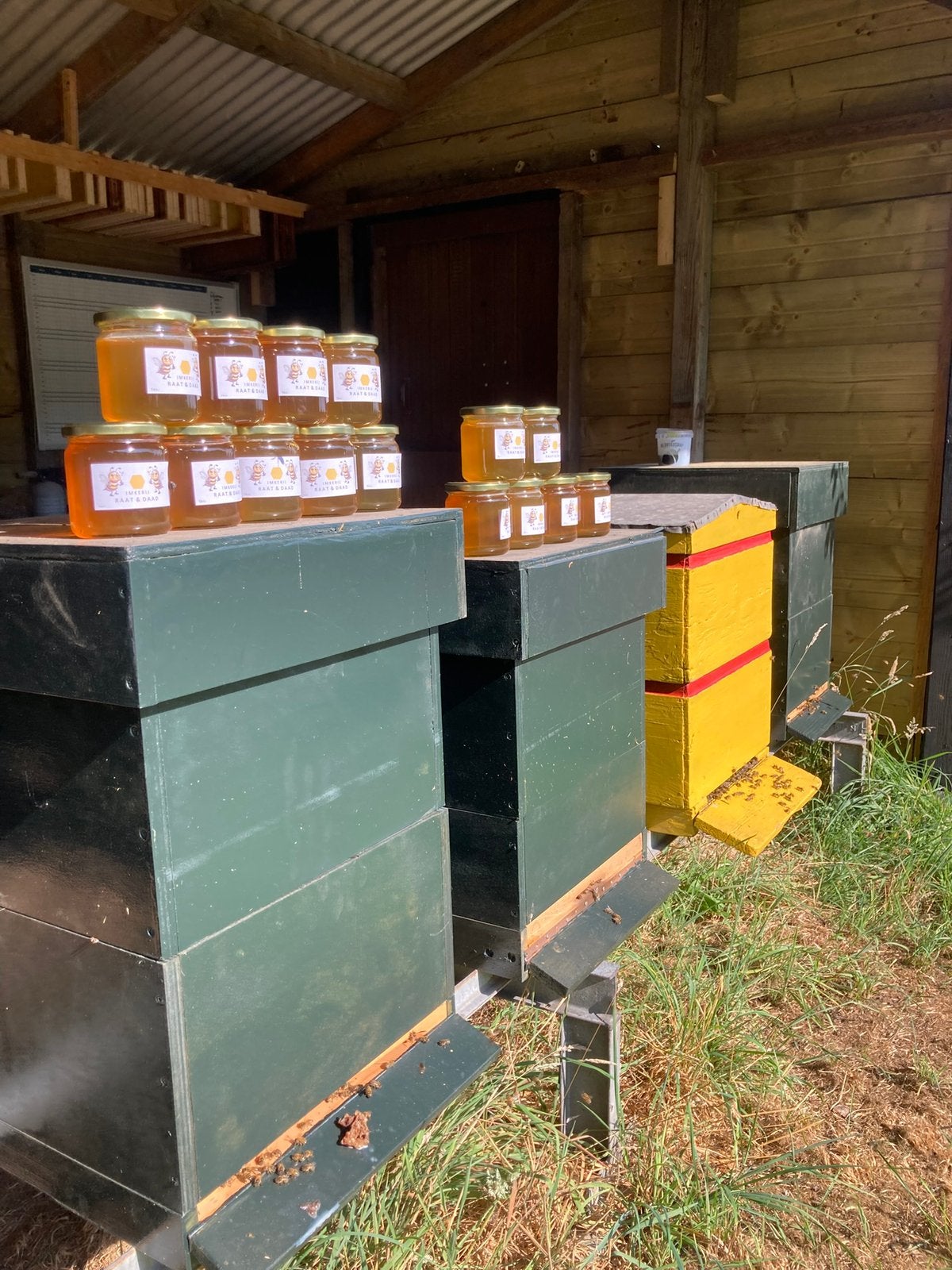 Bijenvolk te koop 75 euro, Dieren en Toebehoren, Insecten en Spinnen, Bijen