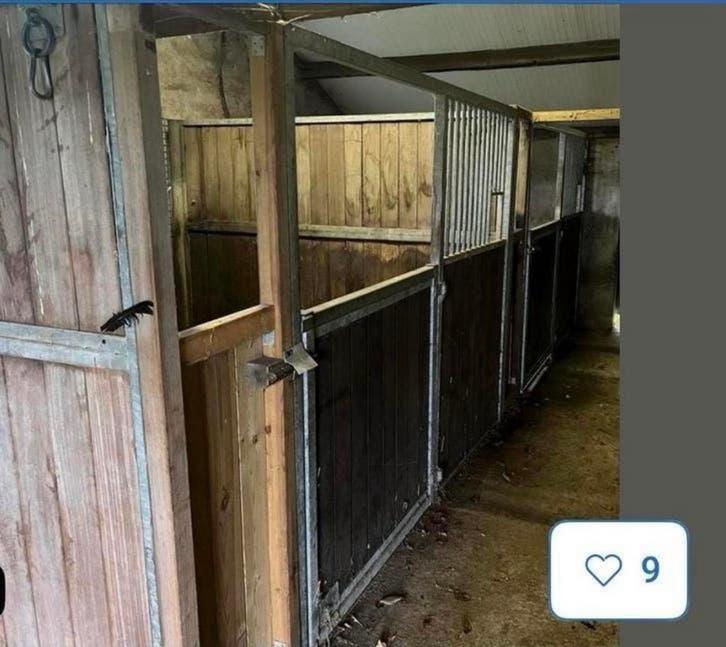 Paardenboxen te koop, Dieren en Toebehoren, Stalling en Weidegang