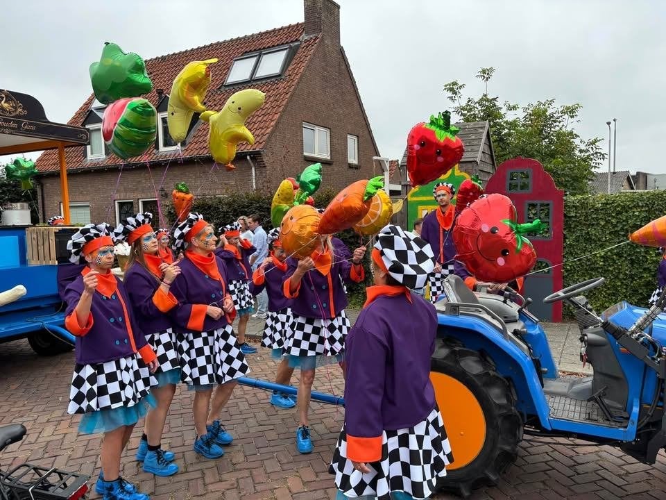 Mooie carnavals kleding, Carnaval, Ophalen of Verzenden, Zo goed als nieuw, Kleding