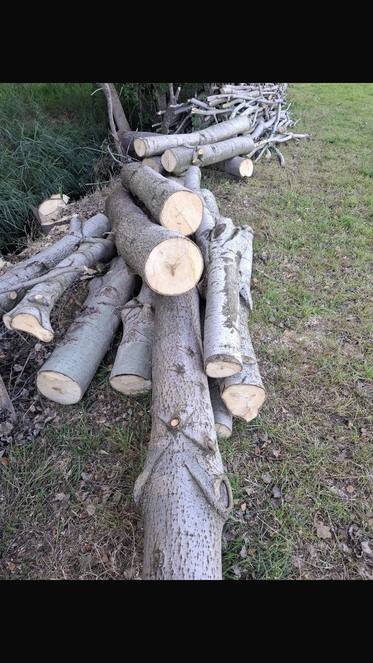 Hout, Tuin en Terras, Haardhout, 3 tot 6 m³, Ophalen, Overige houtsoorten, Stammen