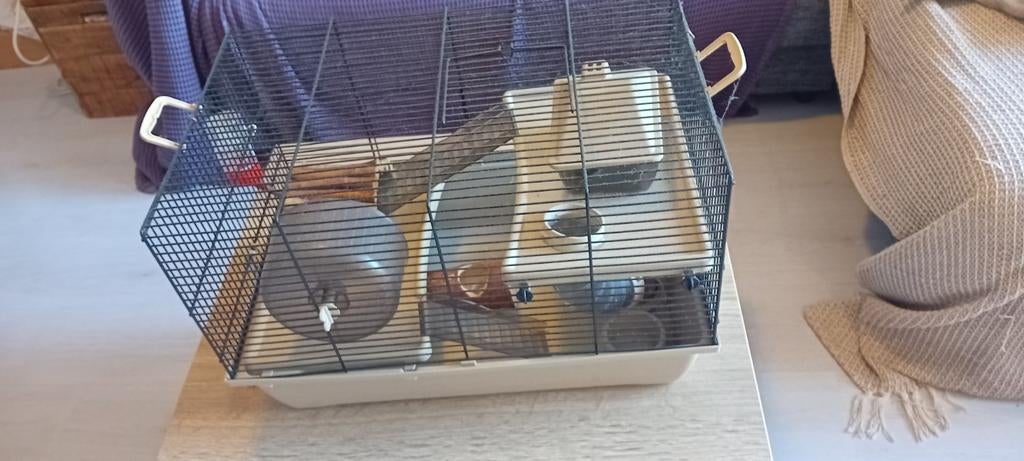 Muizen  kooi,  of voor hamsters, alleen ophalen, Ophalen of Verzenden, Minder dan 75 cm, Kooi, Minder dan 60 cm