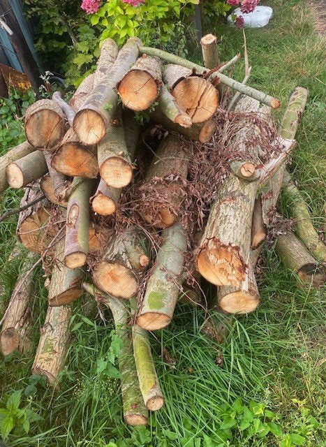 haardhout wilgen, Tuin en Terras, Haardhout, Minder dan 3 m³, Ophalen, Overige houtsoorten, Stammen