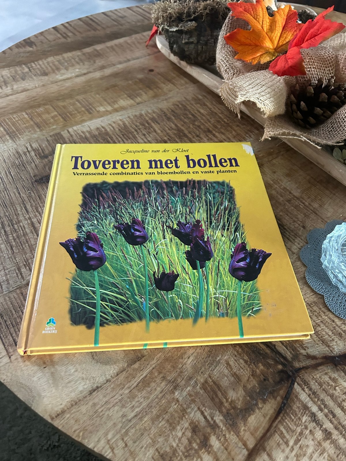 Toveren met bollen: verrassende combinaties, Ophalen of Verzenden, Zo goed als nieuw, Tuinieren en Tuinplanten