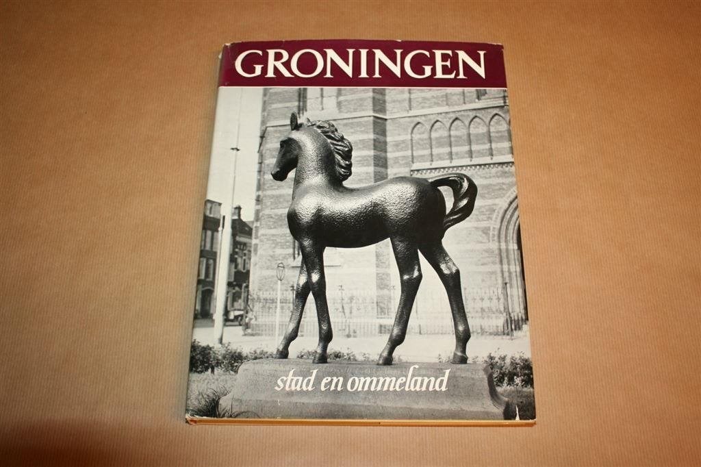 Groningen. Stad en ommeland., Ophalen of Verzenden, Gelezen