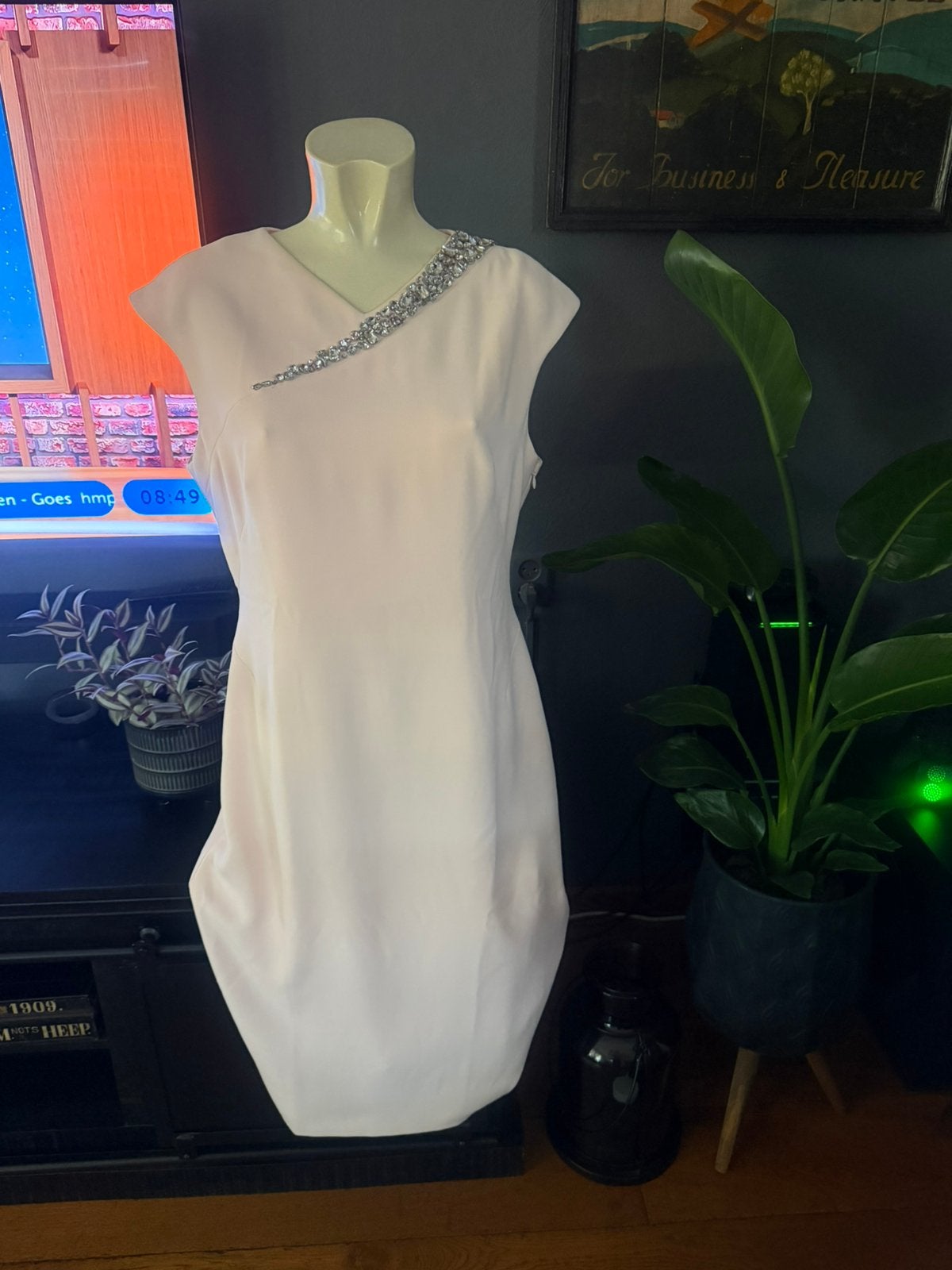 Ted Baker jurk maat 5 (38), Ophalen, Zo goed als nieuw, Maat 38/40 (M), Boven de knie