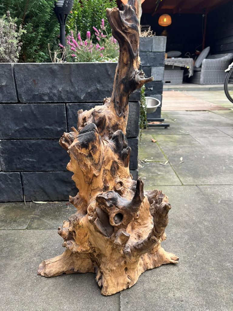 Houten boomstam, Ophalen