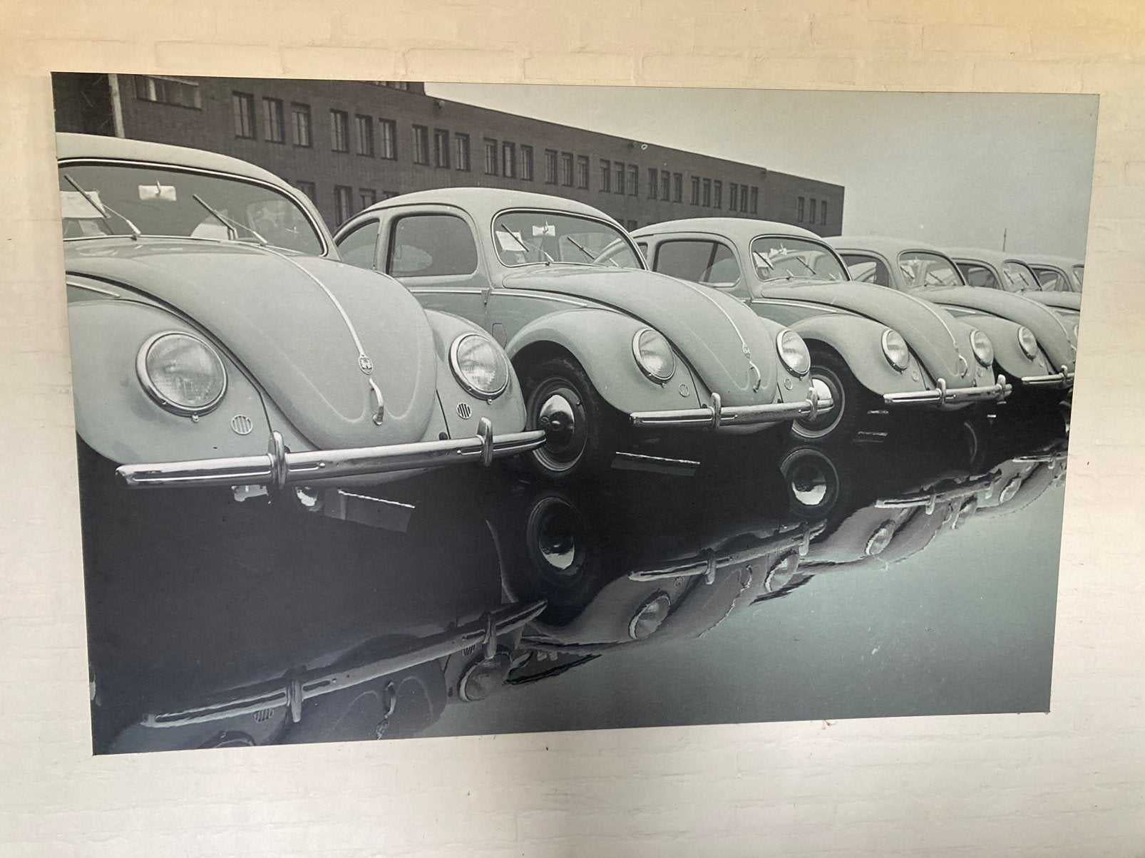 Foto op aluminium VW Kevers 200x130cm, Ophalen, 1960 tot 1980, Zo goed als nieuw, Overige onderwerpen