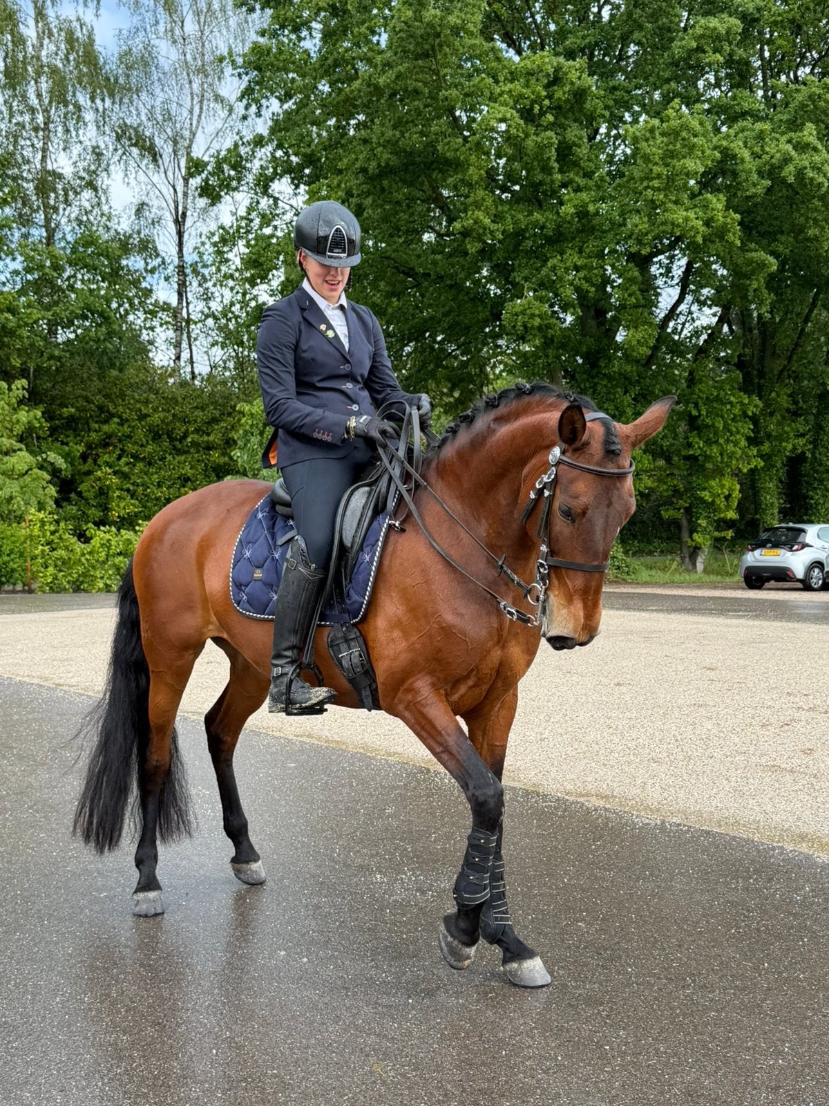 Lieve 9 jarige Lusitano merrie, Dieren en Toebehoren, Merrie, Dressuurpaard, 7 tot 10 jaar, 165 tot 170 cm