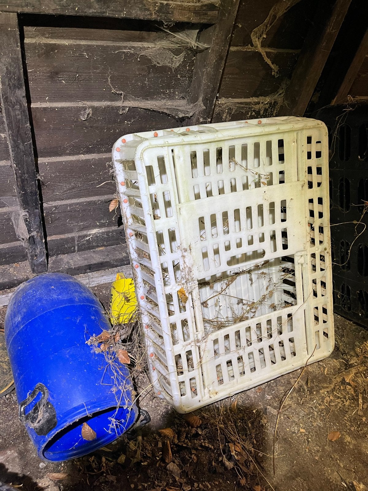 Transportkist voor gevogelte, Ophalen of Verzenden